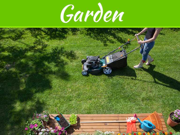 How to Keep Your Lawn Alive and Thriving All Summer