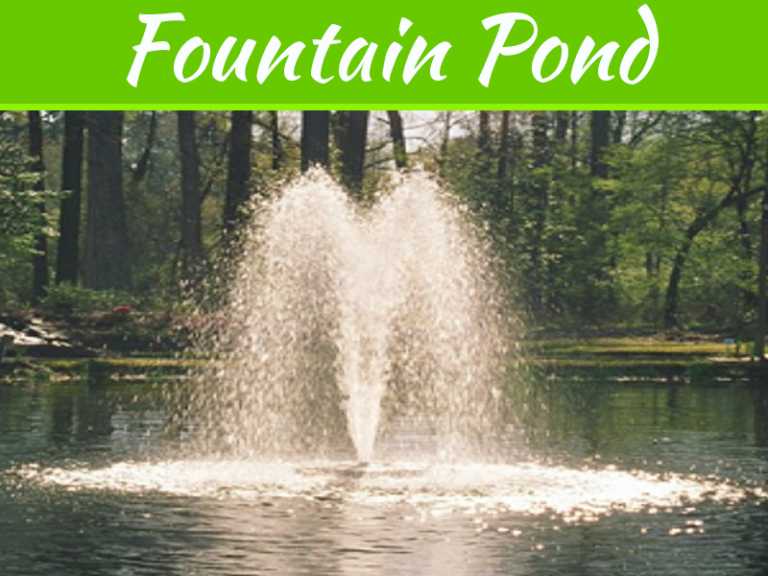 Learn How To Maintain Your Fountain Pond