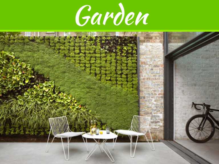 Space-Saving Garden Ideas That Are Stylish Too!