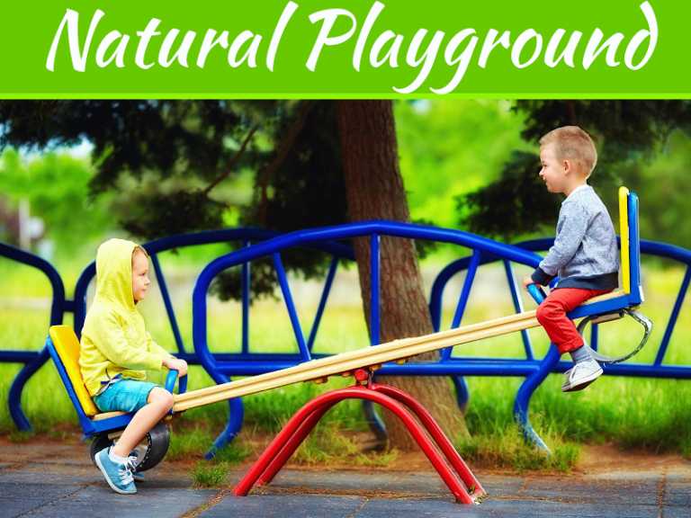 What Are Natural Playgrounds, And Why Are They Important?