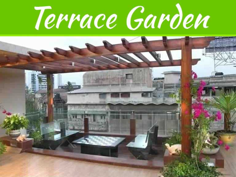 Creative Tips To Decorate A Terrace Garden For Homes And Apartments In Kerala