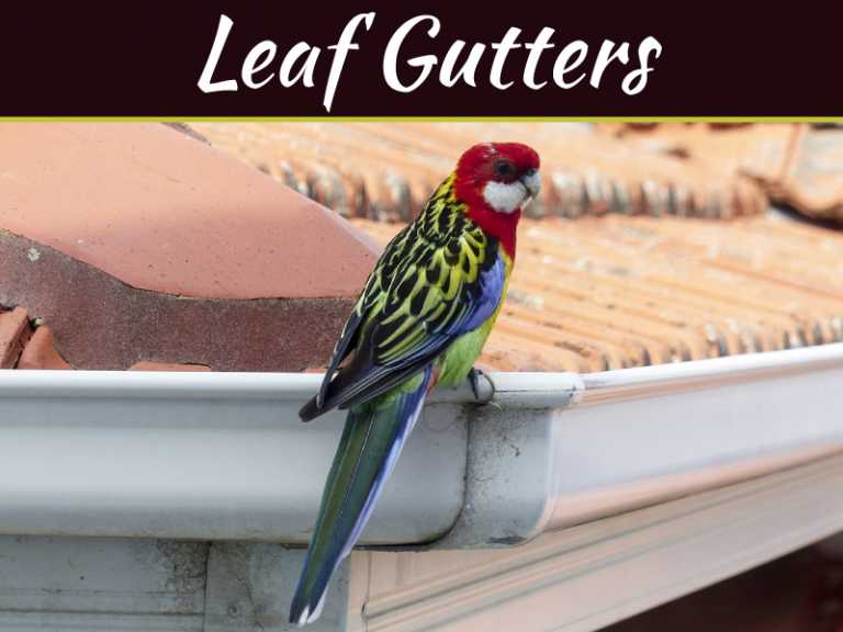 How Much It Actually Costs to Install Leaf Gutters