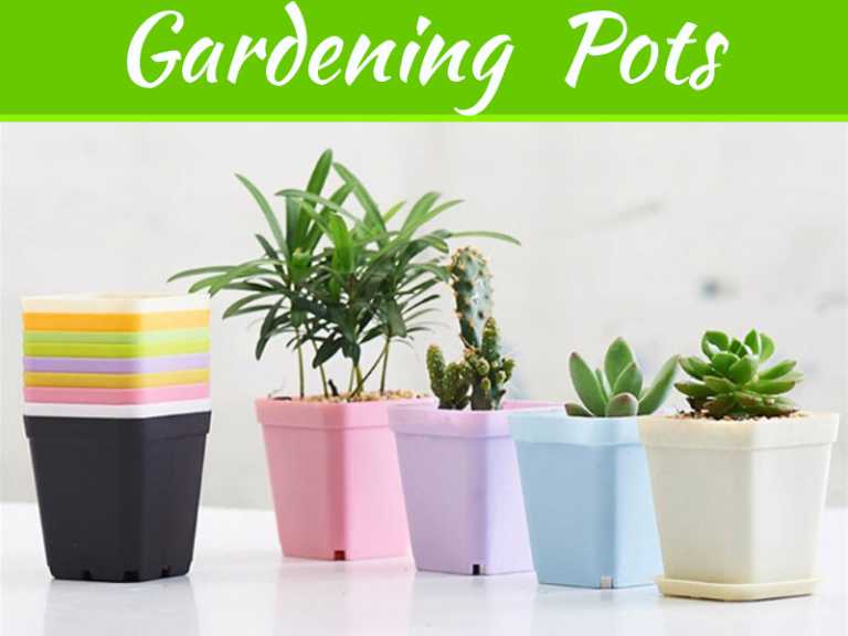 Innovative Gardening With Square Pots