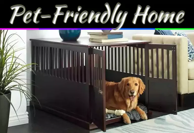Pet-Friendly Home Remodel Ideas That Make Life Easier For You And Your Pets