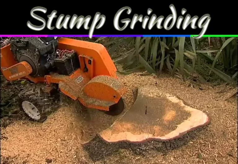 Stump Grinding Machine: Key Factors To Choose The Right One