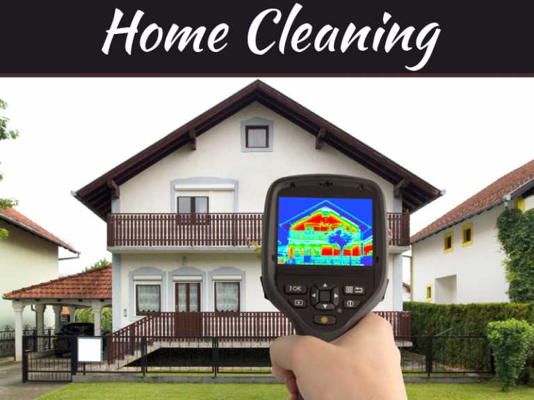 7 Signs That There Are Pests Living In Your Home