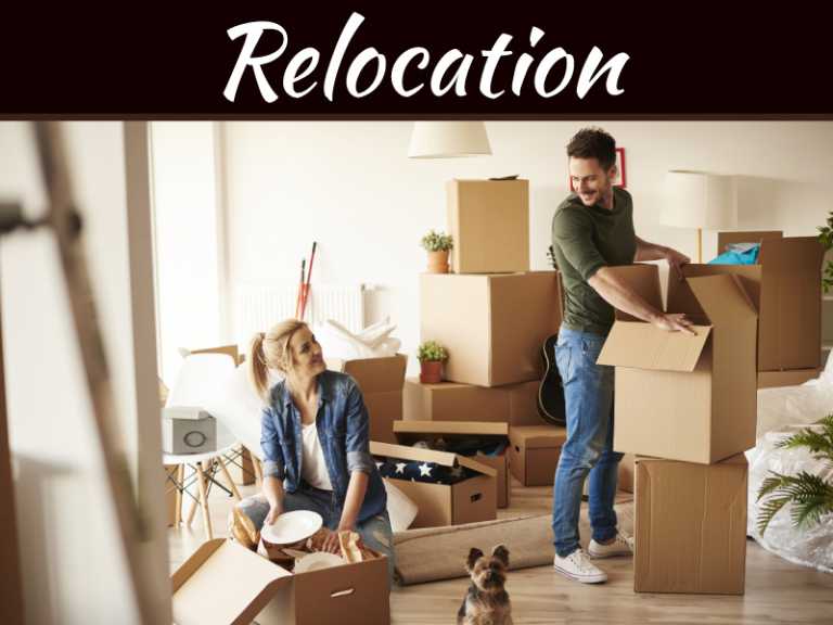 How to Survive the Stress of Moving Houses