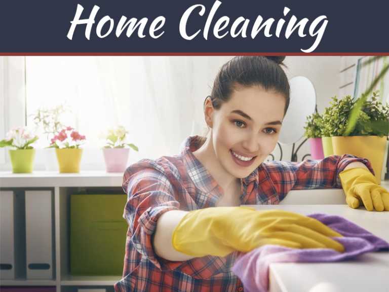 Is Cleaning Your House Necessary?