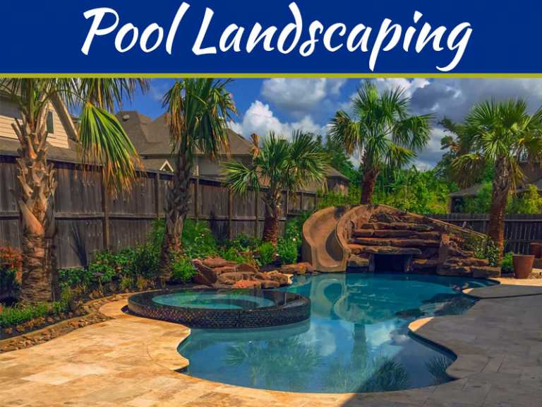 Pool Landscaping Ideas On A Budget