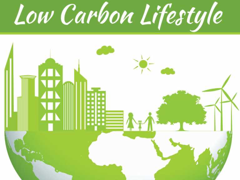 5 Ways Customers Today Live A Low Carbon Lifestyle