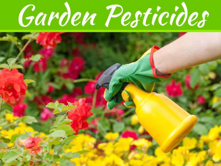 How To Naturally Get Rid Of Garden Pests