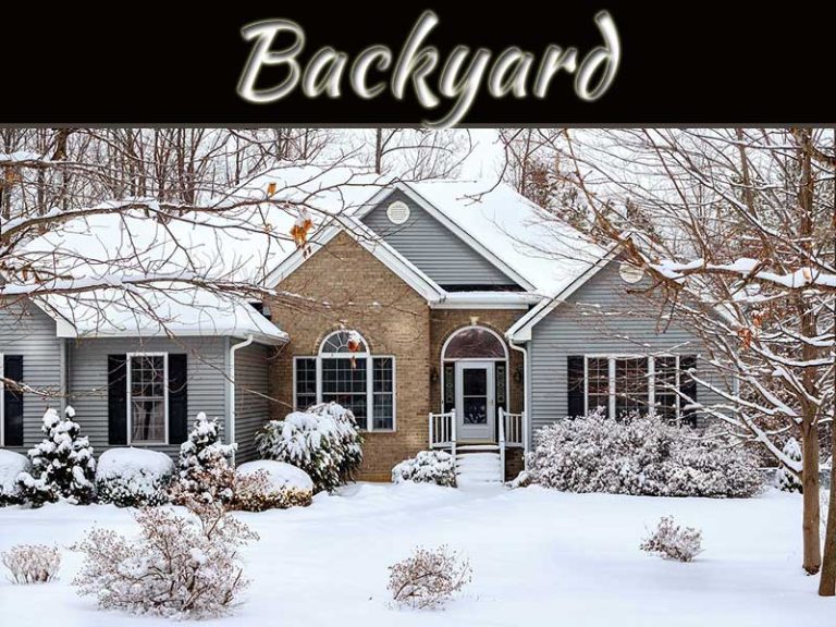 How To Make Your Backyard Usable During Winter