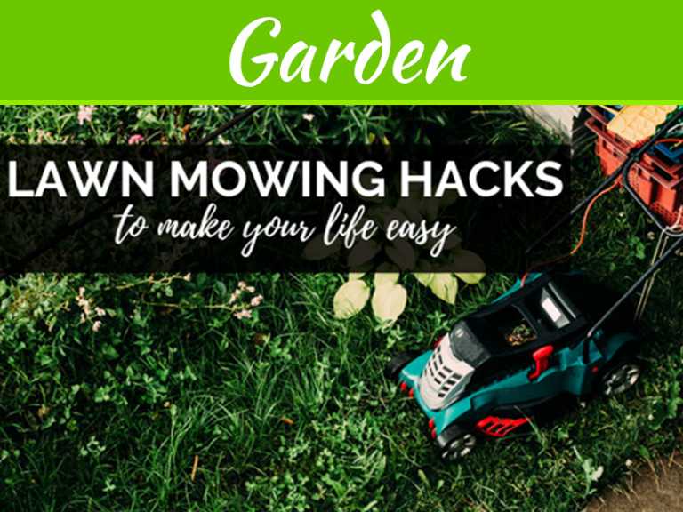 Lawn Mowing Hacks To Make Your Life Easy