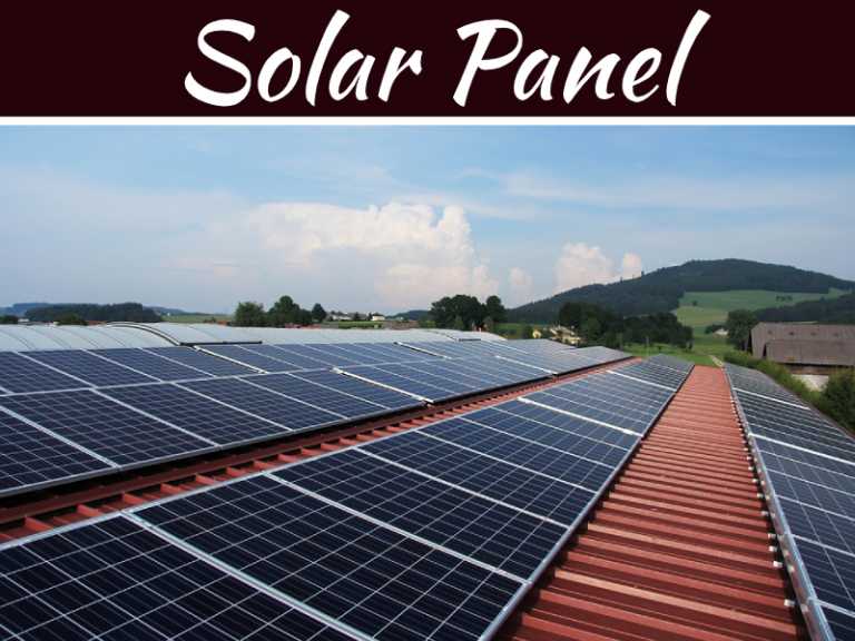 Solar Panel 101 – Everything You Need To Know In A Nutshell