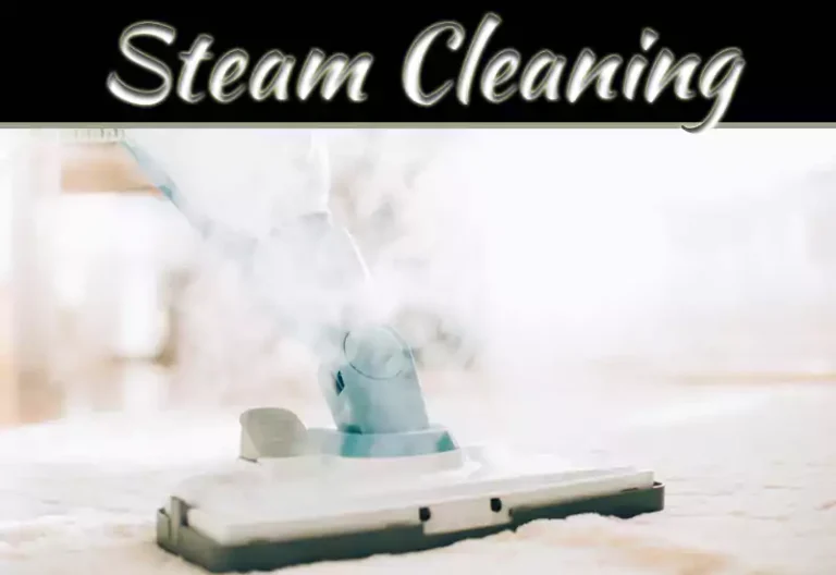 Steam Cleaning Benefits: A Natural Way To Refresh Your Home