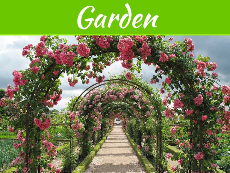 Top 8 Captivating Flower Garden Designs