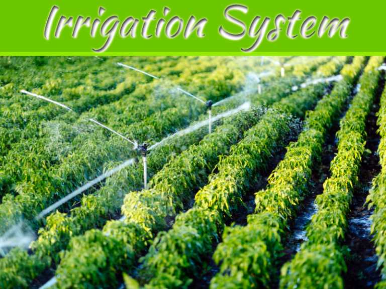 Advantages & Disadvantages of Irrigation Systems