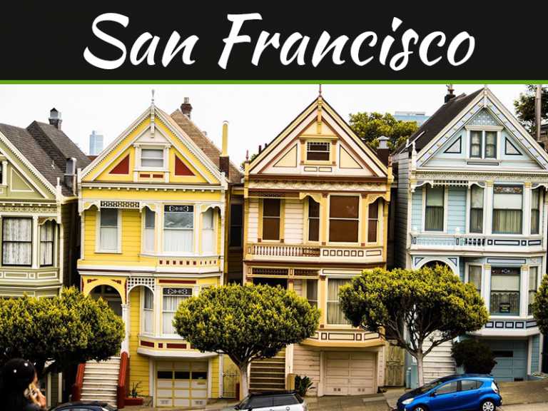 An Inspirational Bus Tour of San Francisco's Public Gardens