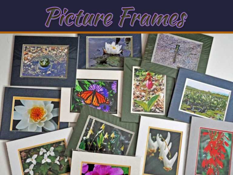 How Best To Prevent Your Picture Frames From Rot