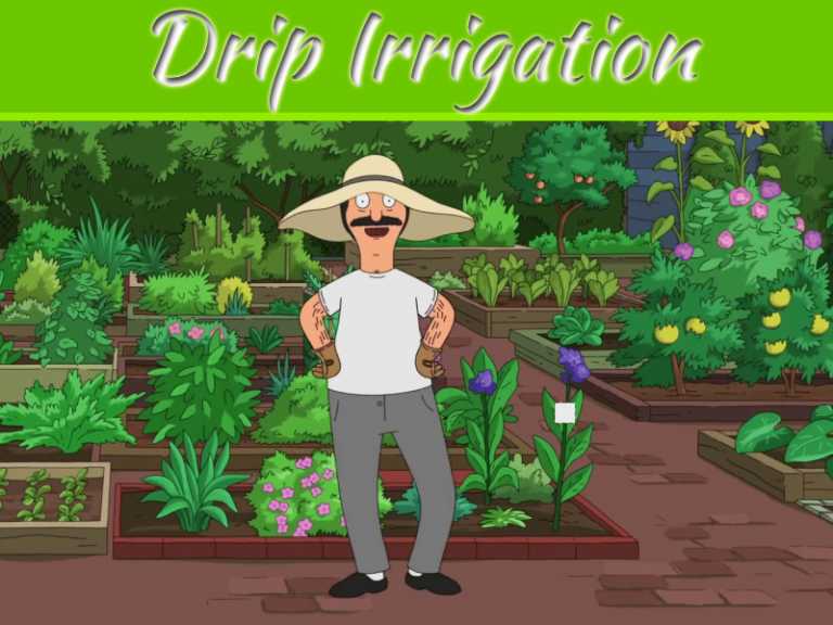 Drip Irrigation And How It Can Work Best For Your Garden?