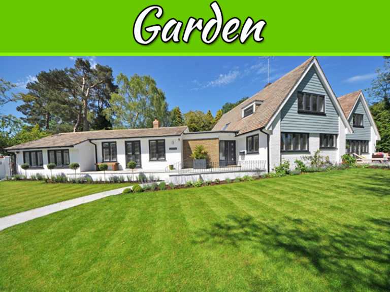 A Healthy Lawn Is Good For You And Your Neighborhood