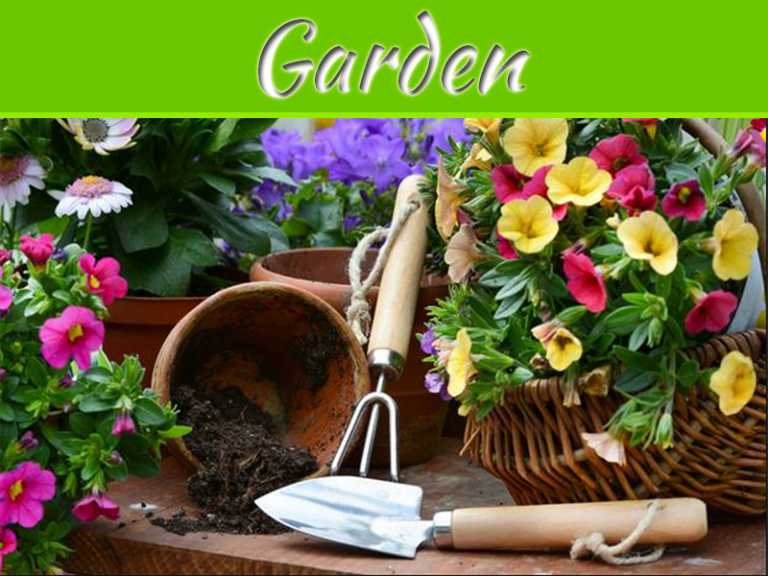 Grow Your Own Chemical-Free Garden