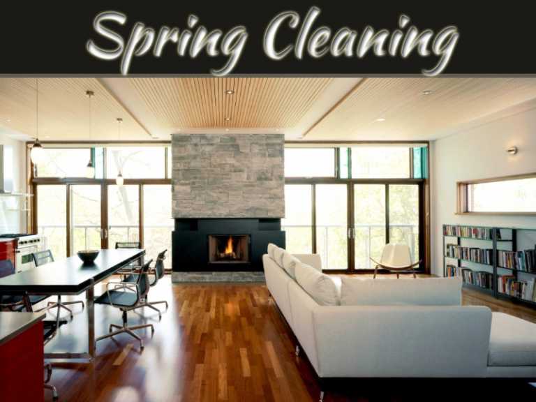 8 Precautions To Take For A Mold Free Home