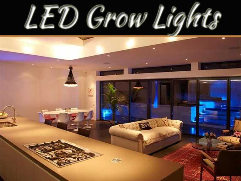 Thinking About Using LED Grow Lights? Here Are The 5 Mistakes To Avoid