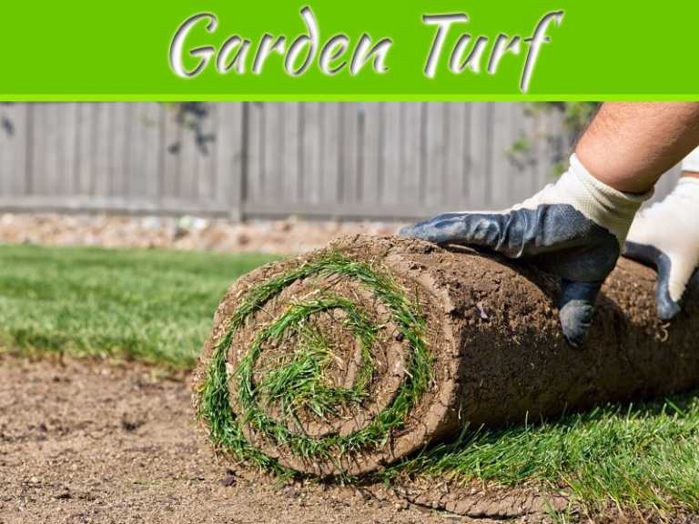 Top 5 Tips for Buying Garden Turf