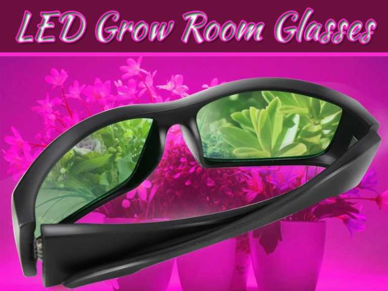 Why You Should Wear LED Grow Room Glasses While Using LED Lights