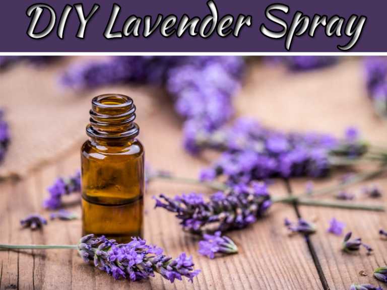 How To Make A DIY Lavender Sleep Spray