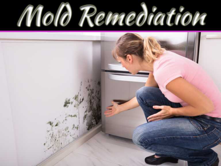 Signs Your Home Has Mold Contamination