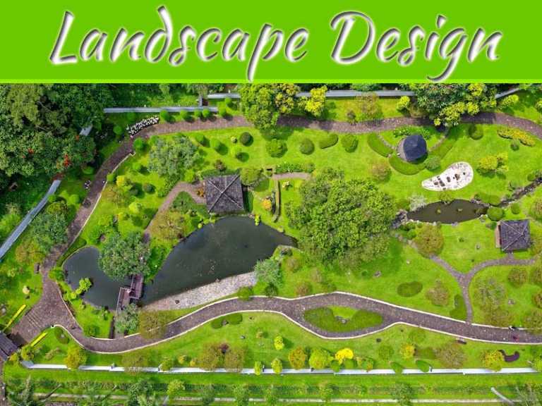 Landscape Design Trends 2020