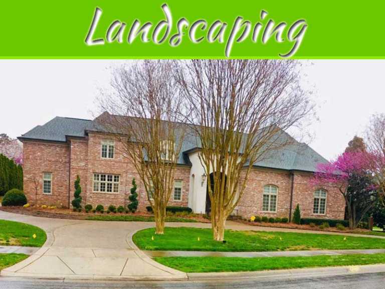 Landscaping Like A Pro