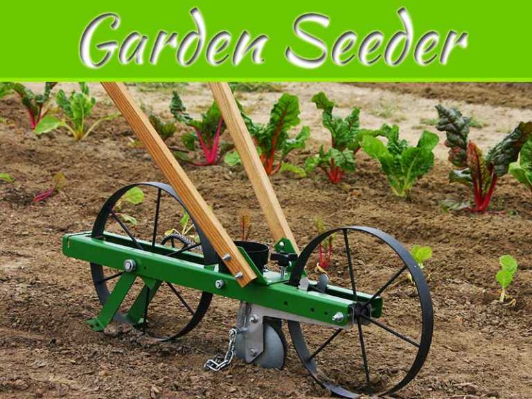 Quick-Guide To Choosing The Best Garden Seeder