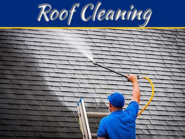 Why Roof Cleaning And Moss Removal Services Are Important