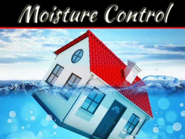 Considerations When Hiring Moisture Control Experts At A Good Price