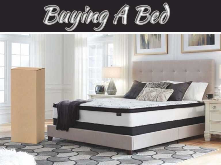 Guide Quick To Buy A Bed Online And Offline