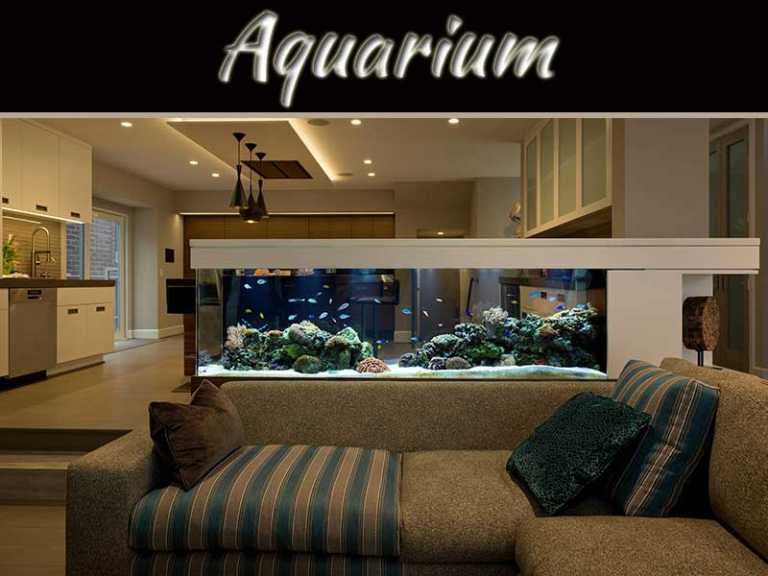 Tips For Interior Decorating With Aquariums