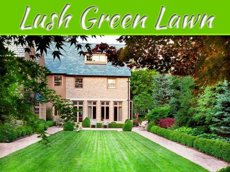 How To Maintain A Lush Green Lawn