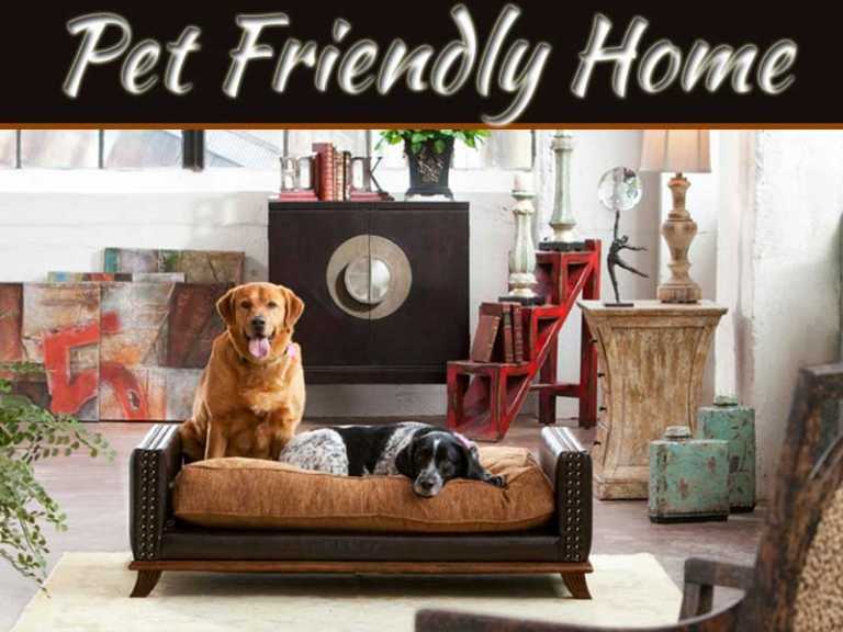 Tips for Pet Friendly Homes