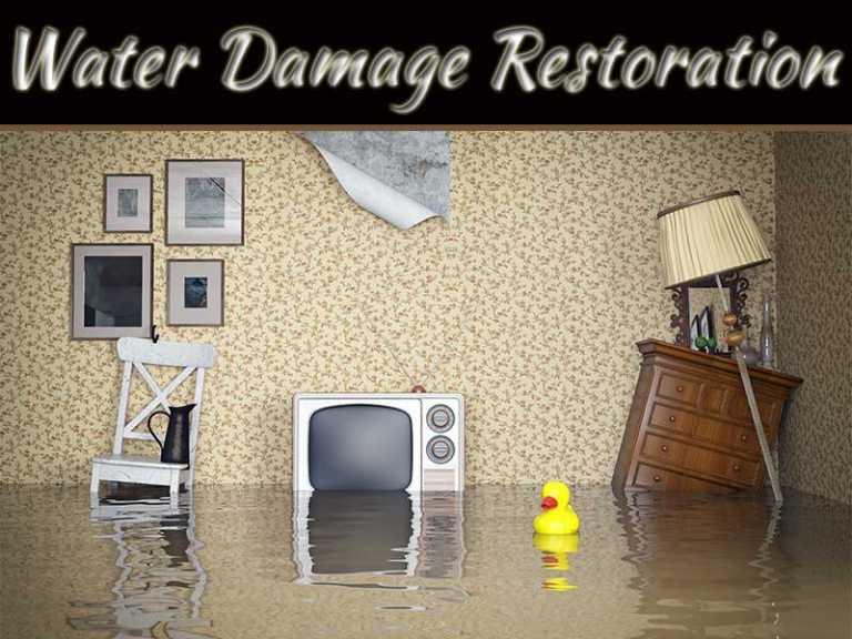 Why You Need The Services Of A Water Damage Restoration Company