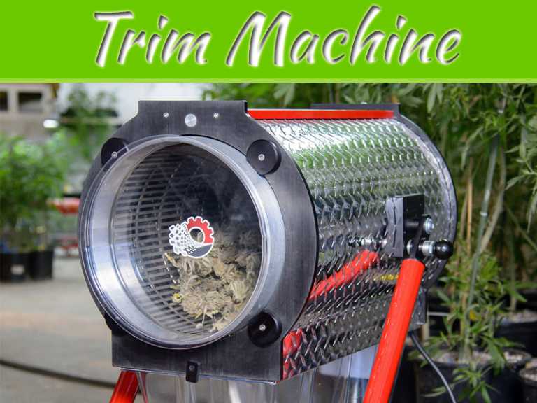 Benefits Of Using A Bud Trim Machine For Harvesting