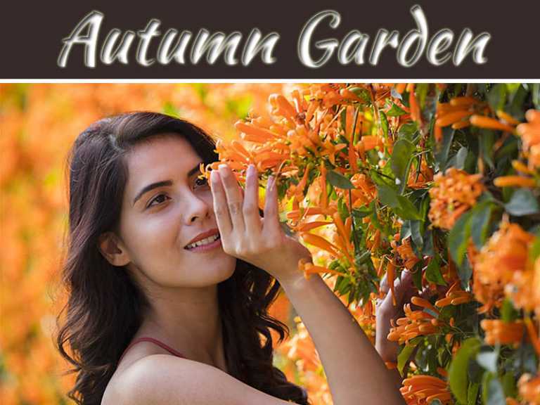 6 Best Flowers To You Can Grow For Your Autumn Garden