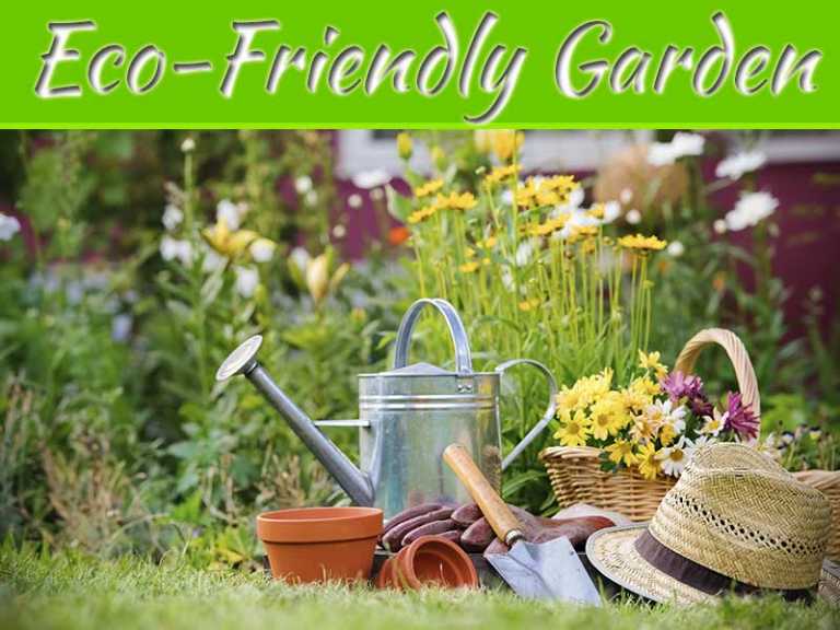 6 Ways To Make An Eco-Friendly Garden