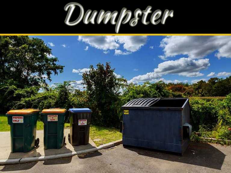 Dumpster Rental For Covid-19 Cleanout