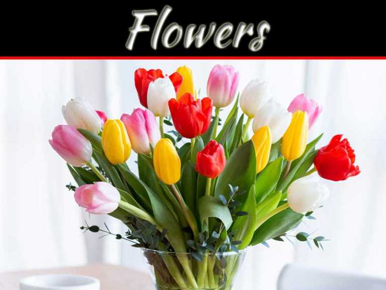 Top 6 Flower Delivery Companies In Spain