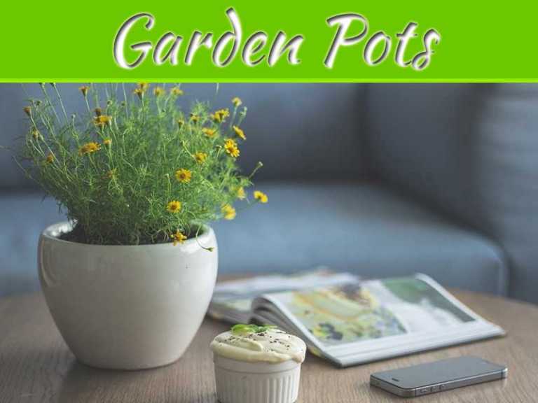 Decorate Your Garden With Great Garden Pots