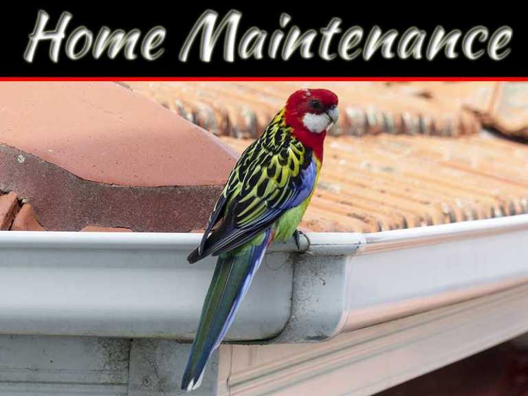 Essential Exterior Summer Home Maintenance Tips
