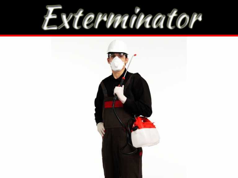 When Should I Call An Exterminator?